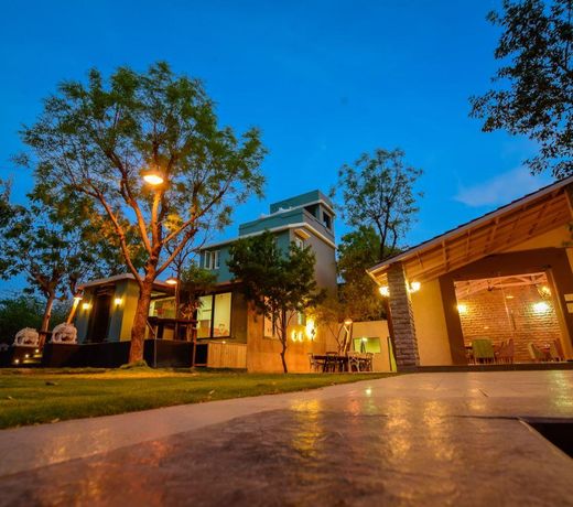 Banjara Hills Jungle Lodge