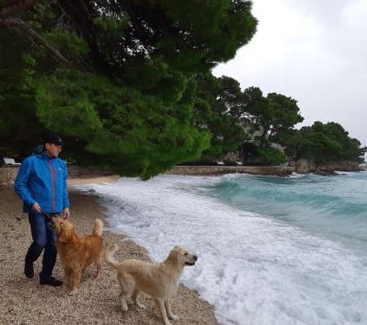 Werz Sea View Apartment