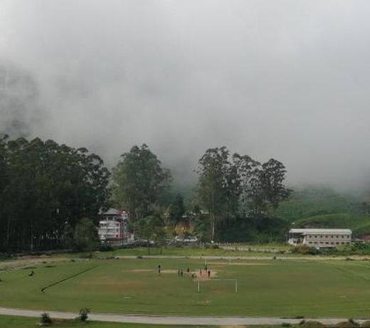 Munnar Days