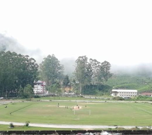 Munnar Days