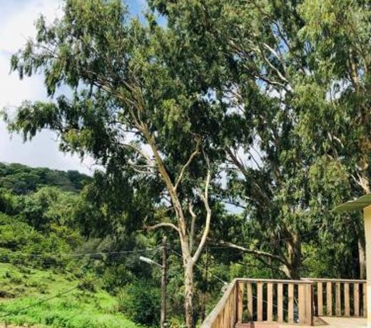 Hotel Krishna Valley