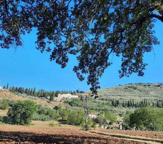 LA CASA TRA GLI ULIVI
