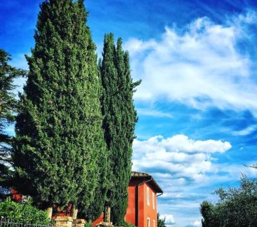 Agriturismo Sant'Ellero