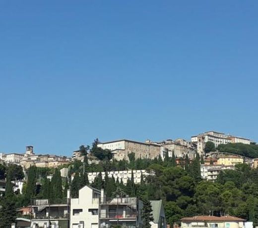 Elite Apartments