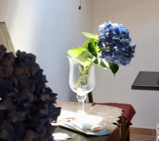 B&B Villa Lilli Beta Bella