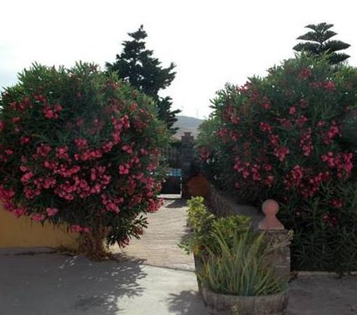 El Rancho