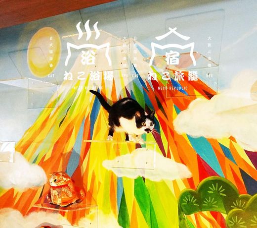 Cat spa and cat ryokan by Necorepublic Osaka