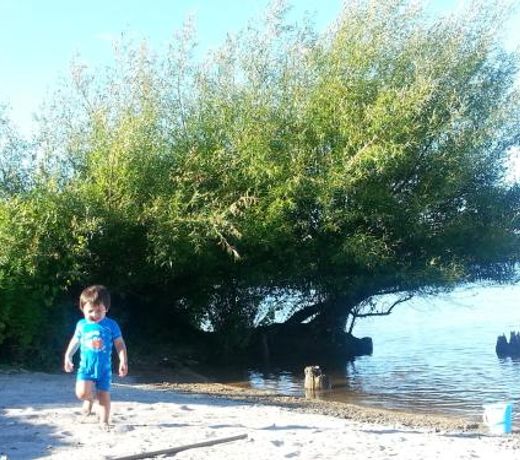 Koutu Beach Bed and Breakfast