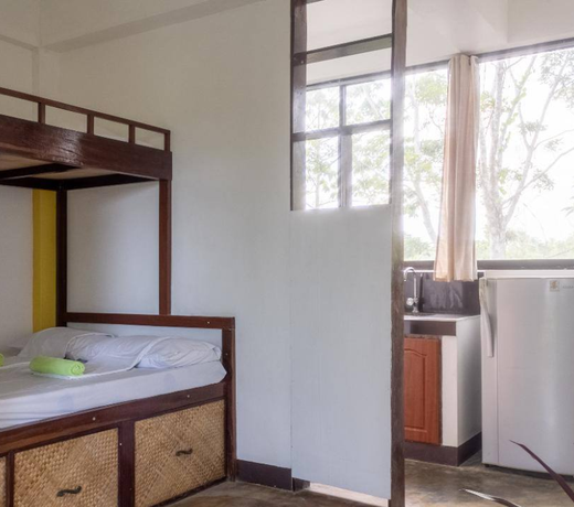 Mangrove Room 3