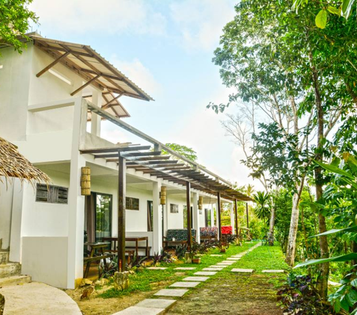 Mangrove Room 3