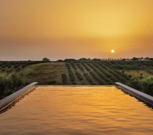 Momentum Wellness Bioresort