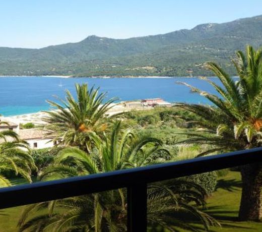 Marina di fiori