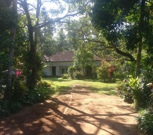 Countryside Estate Homestay