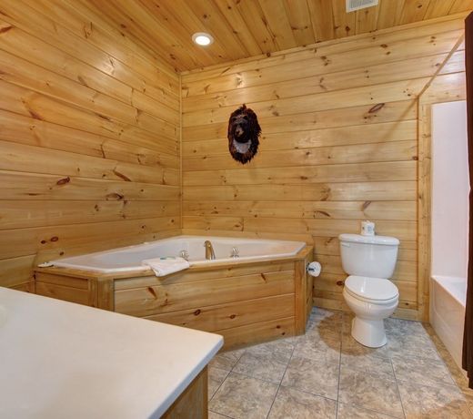 Wilderness Lodge, 3 Bedrooms, Loft, Hot Tub, Sleeps 14