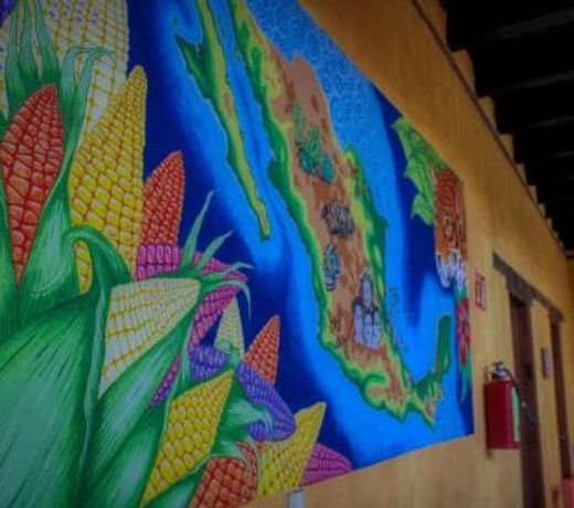 Rossco Backpackers Hostel