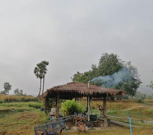 Banneua eco farming chomthong