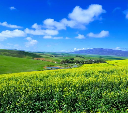 Farm holiday accommodation