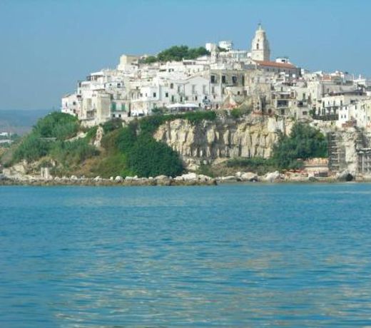 One bedroom appartement at Vieste 600 m away from the beach with balcony and wifi