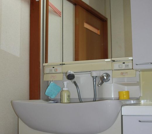 Japanesestyle traditional vil