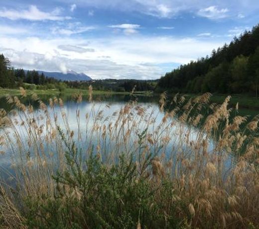 Pineta Nature Resort - Wellness & SPA