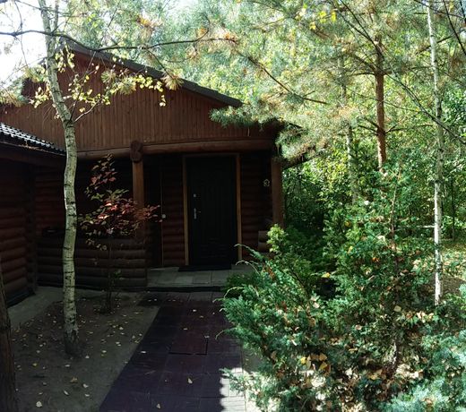 House #3 in the park area of Chernihiv