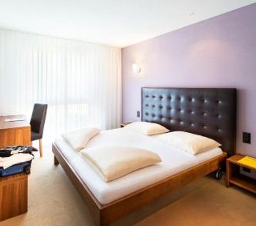 Swiss Heidi Hotel