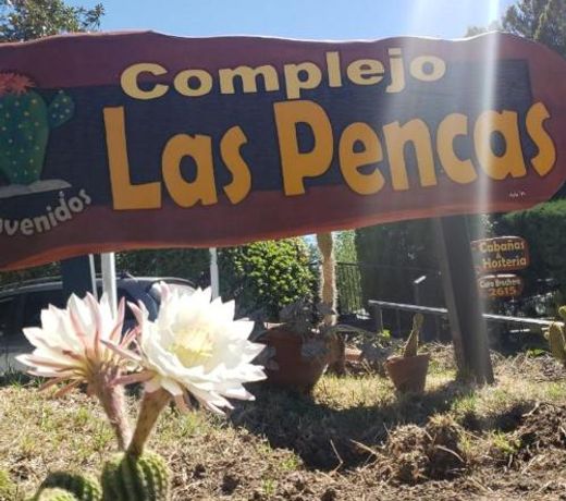 Cabañas Las Pencas