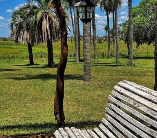 Estancia Buena Vista