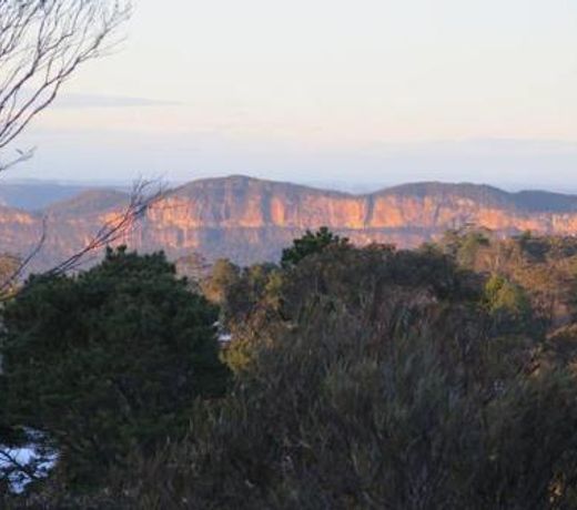 Treetops Retreat Katoomba