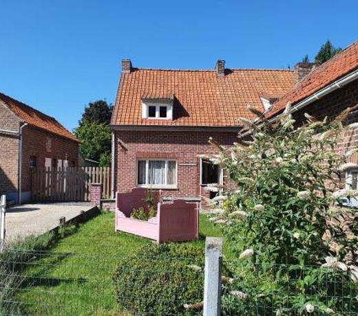 Haspengouws Hoeveke