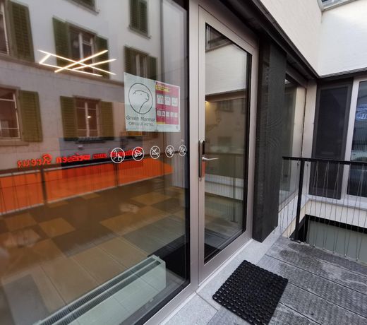 Green Marmot Capsule Hotel Zürich