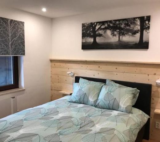 Appartement Familie Willems Winterberg 3