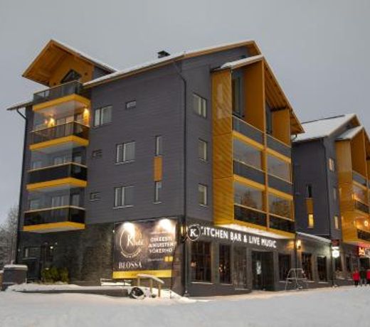 Levin Kunkku B2 Apartment Grey