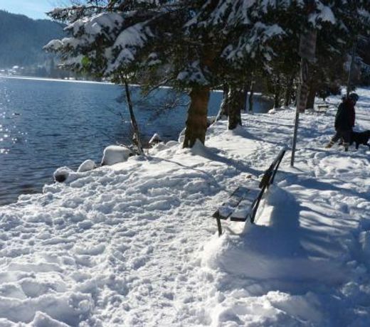 STUDIO HAUTEUR GERARDMER