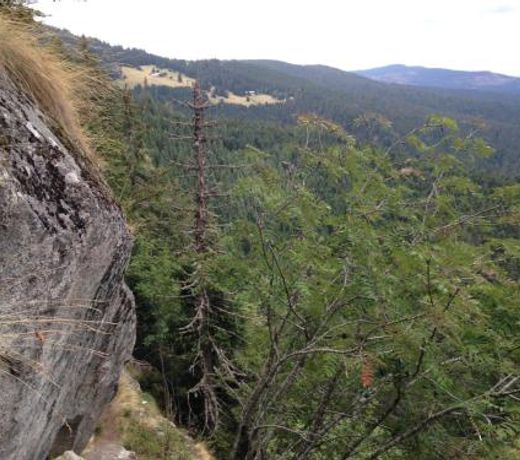 STUDIO HAUTEUR GERARDMER