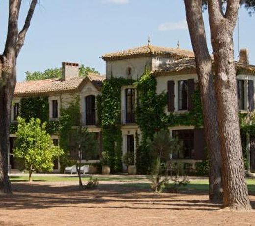 Domaine de la JASSO, au pied de la Cite Medievale