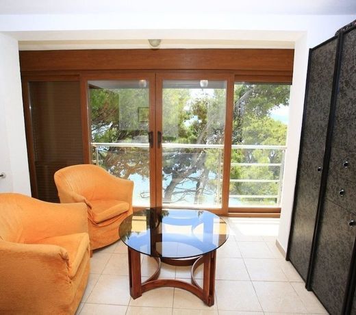 Apartment and Rooms Pansion Duba