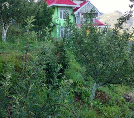 Pear Blossoms Home Stay