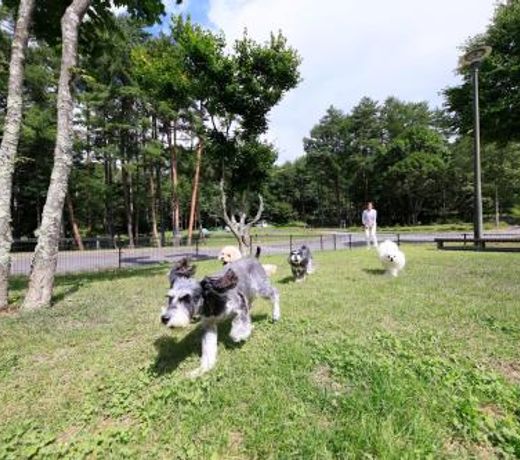 Yutorelo Tateshina Hotel with DOGS