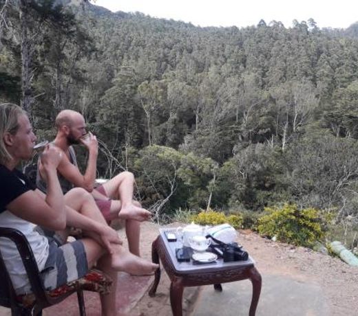 Ohiya Jungle resort
