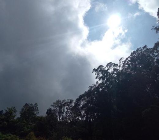 Ohiya Jungle resort