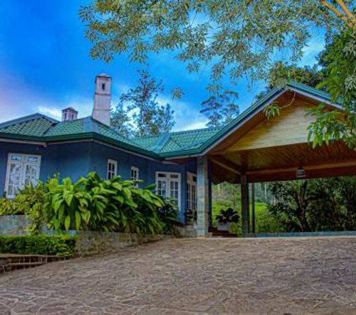 The Tea Bungalow