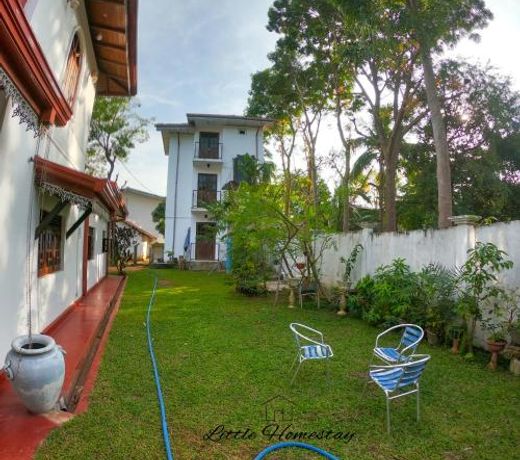 Little Home stay Dambulla