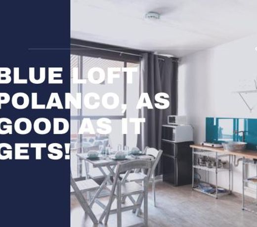 Blue Loft In Polanco With Private Terrace