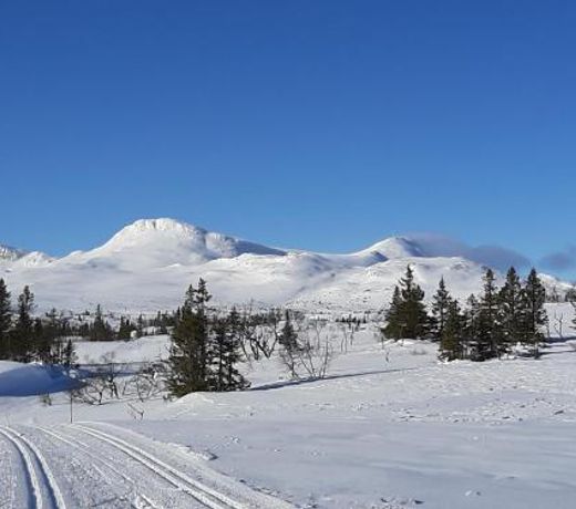 Gamlestugu Greivjord Fjellgard