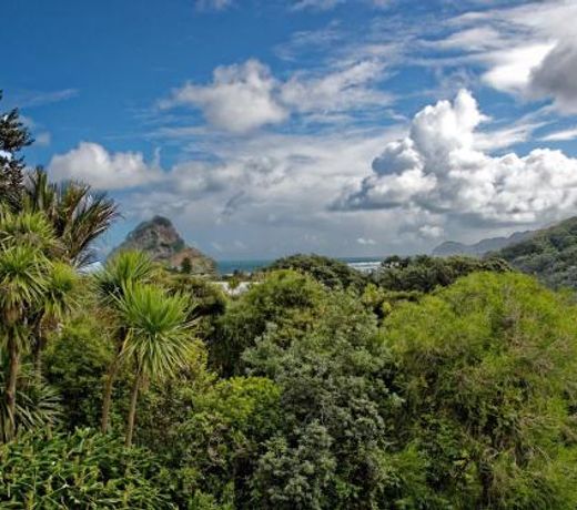 Surfer's Sunshine Cottage - Piha Holiday Home
