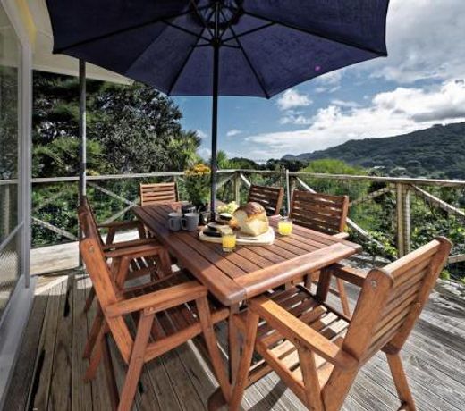 Surfer's Sunshine Cottage - Piha Holiday Home