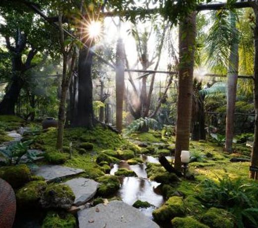 Tree Scape Retreat Resort
