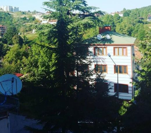 Orkide Motel Pansiyon