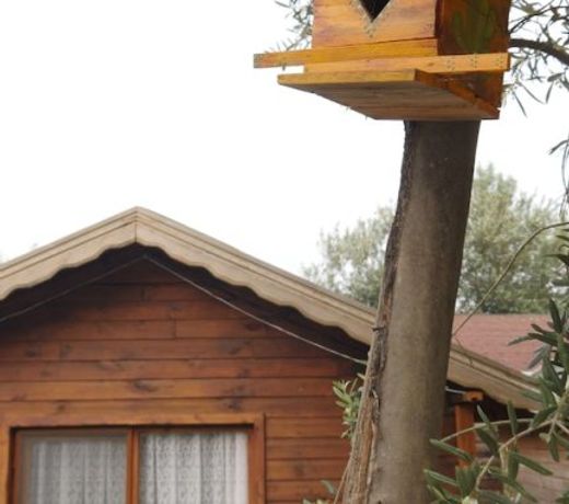 Concept Bungalow